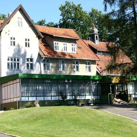 Zacisze Lesne Ostello Lidzbark Warmiński Esterno foto